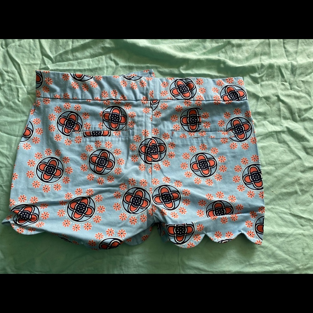 Shorts - Picture 2 of 4